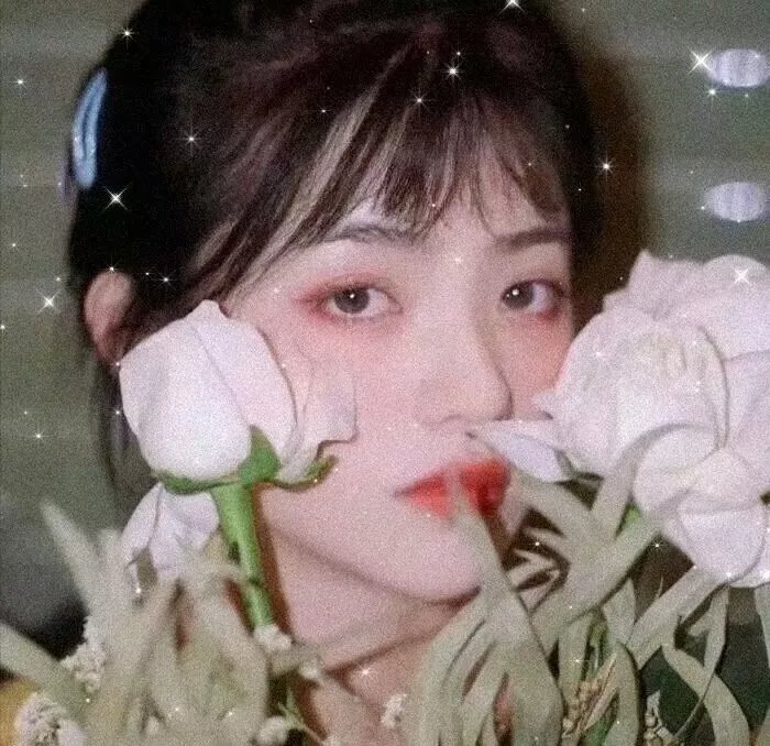 陈辰全明星