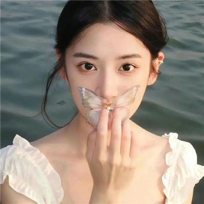 龙鱼追鲨令