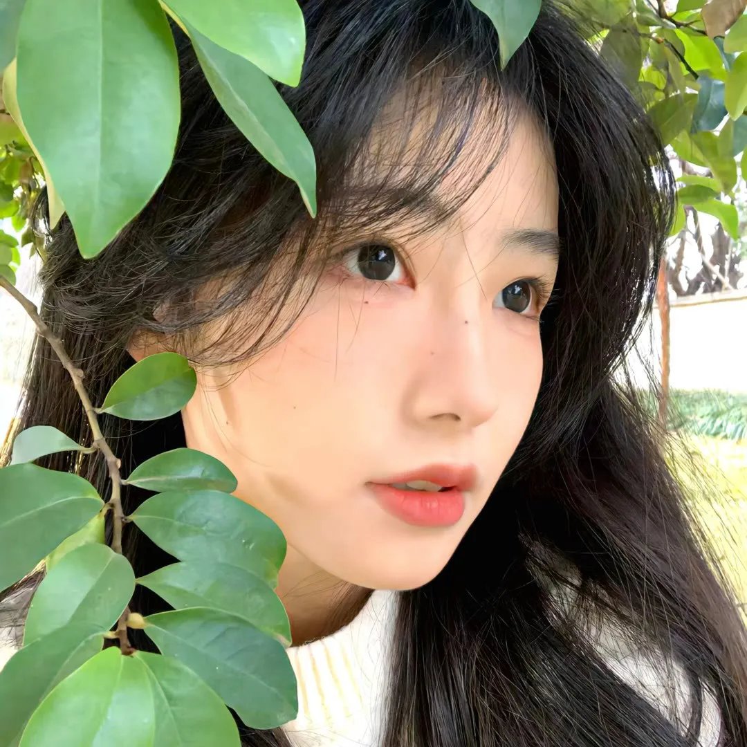 东北情圣